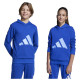 Adidas Παιδικό φούτερ Big Logo French Terry Hoodie